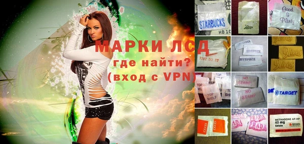 прущие грибы Абдулино