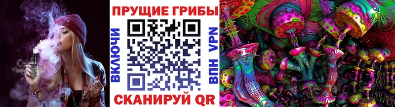 Псилоцибиновые грибы мицелий  дарнет шоп  Алдан 